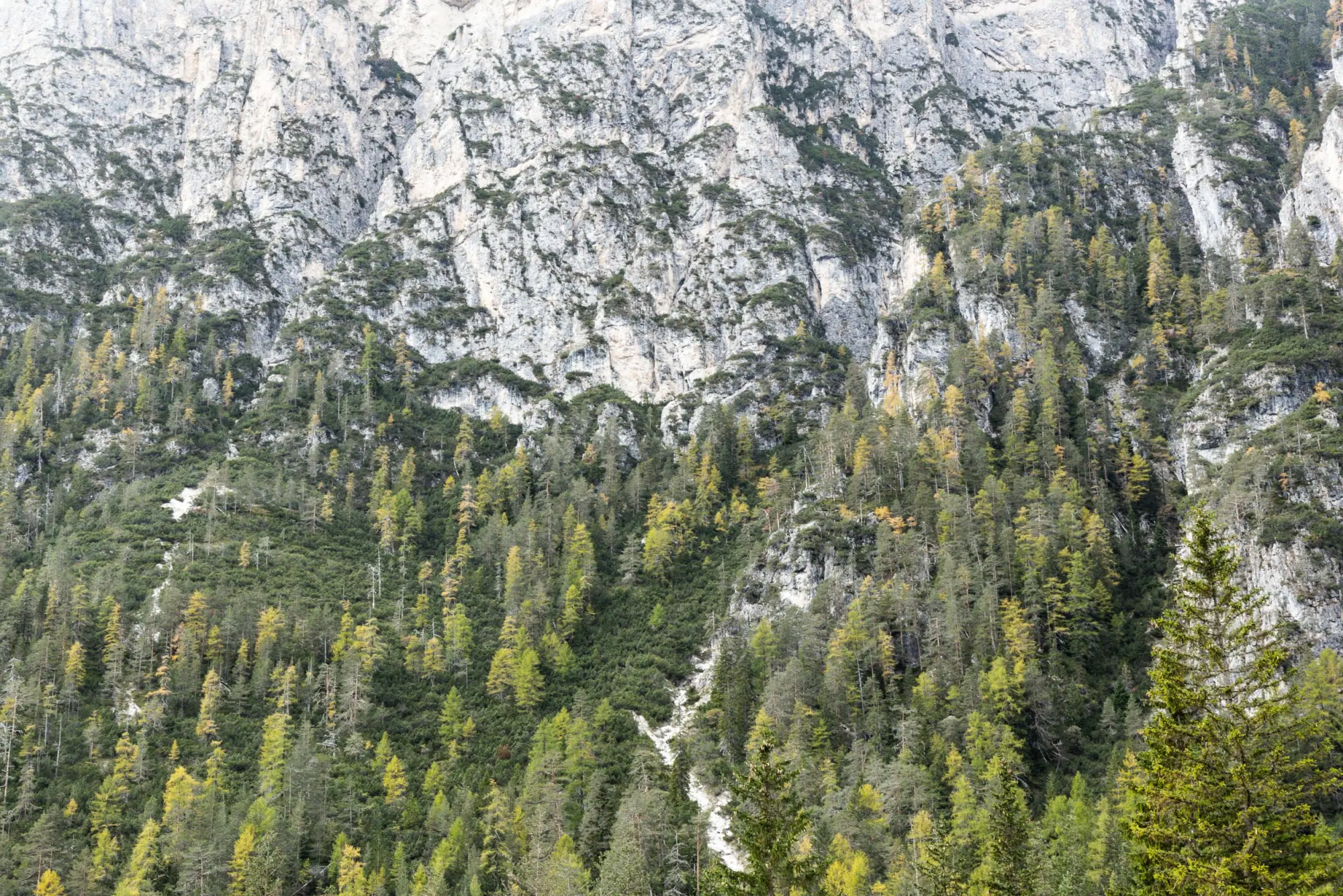 Photo from Day 3 — Lakes, Loops & Passes, The Dolomites, Italy