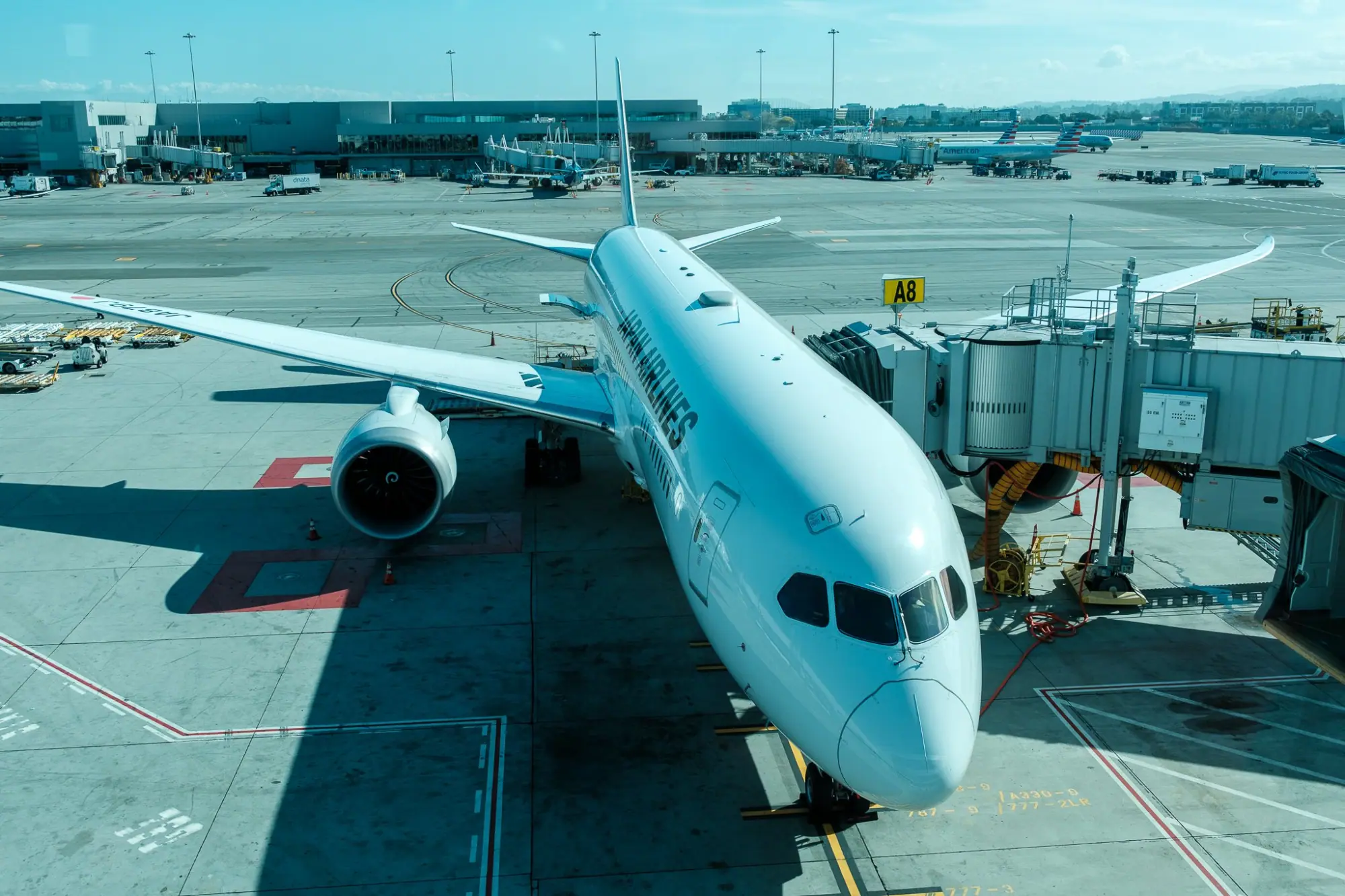 Photo from 11-Hour Flight to Tokyo Haneda