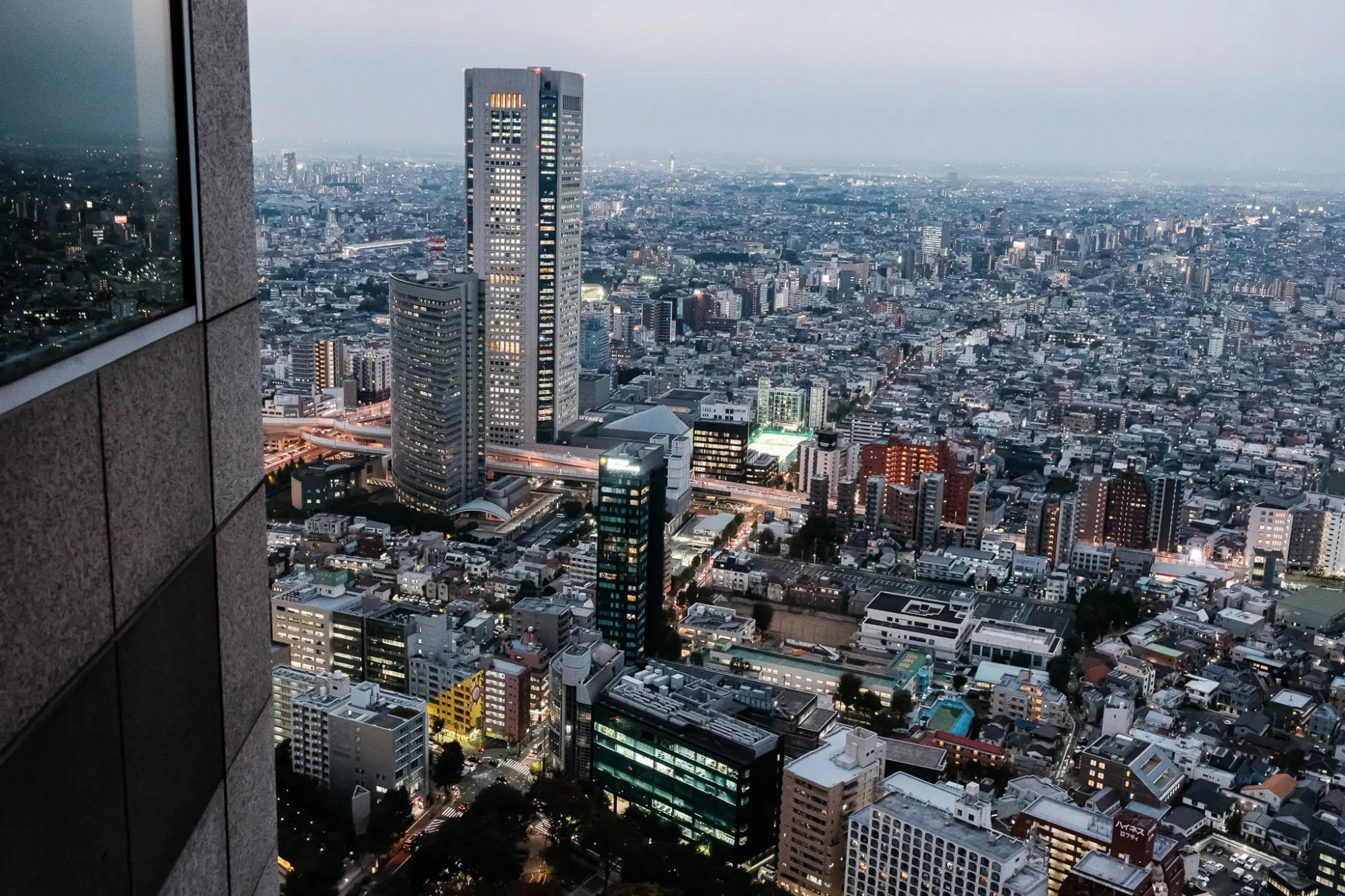 Photo from Tokyo Metropolitan Government Building Observation Deck