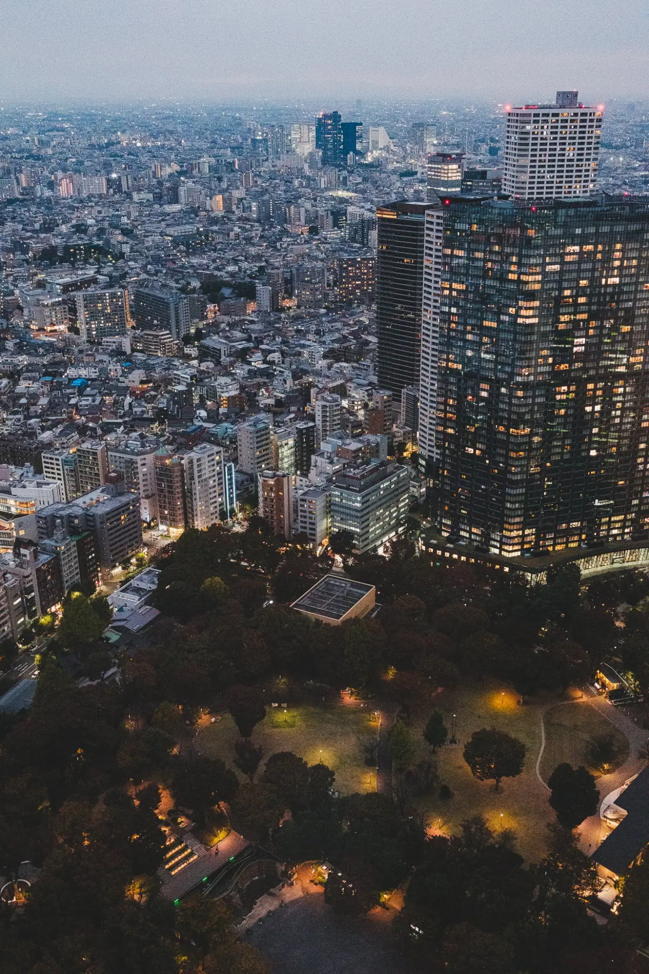 Photo from Tokyo Metropolitan Government Building Observation Deck