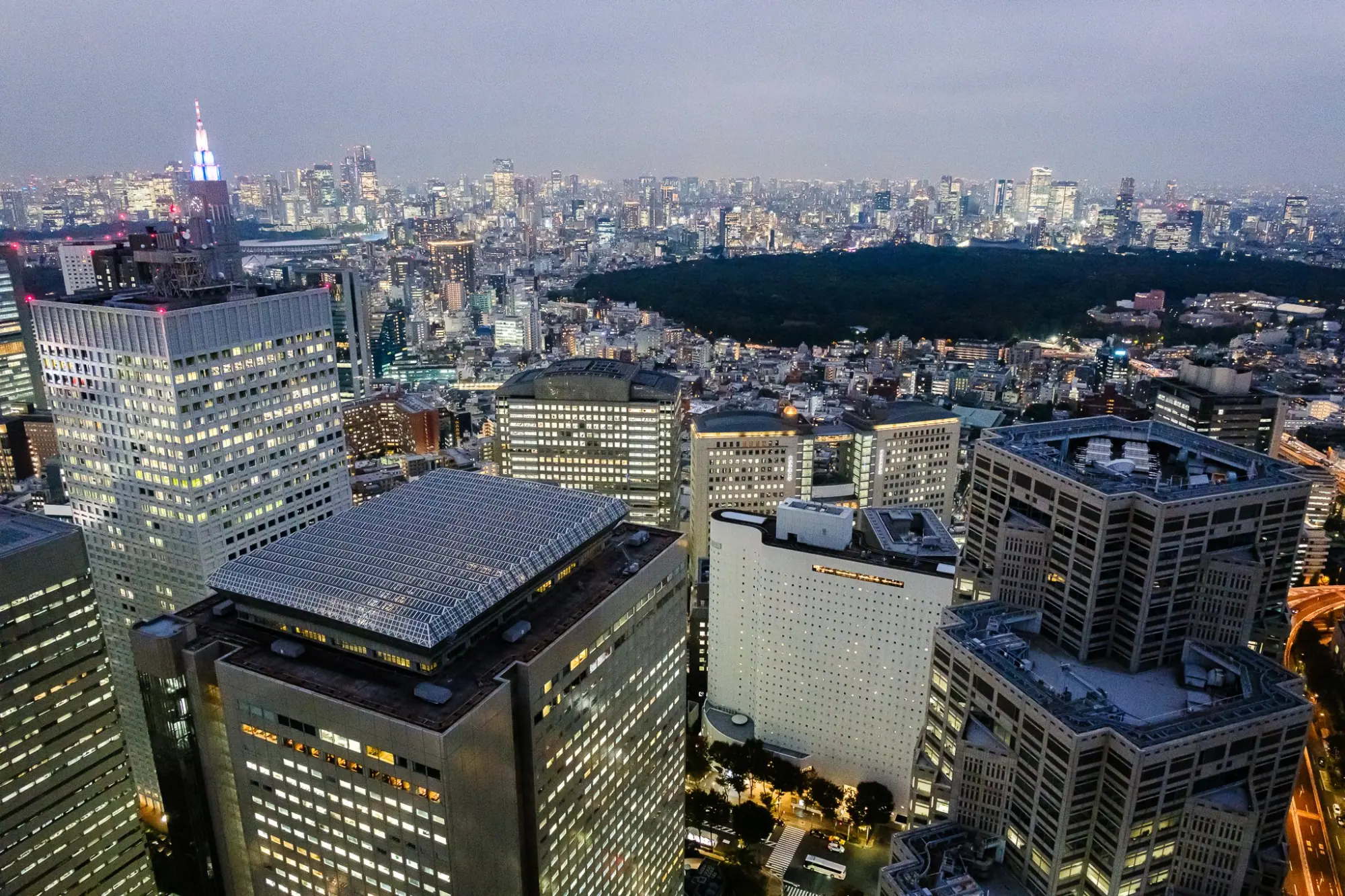 Photo from Tokyo Metropolitan Government Building Observation Deck
