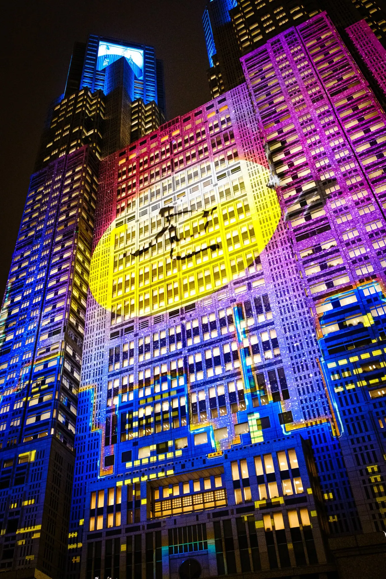 Photo from Tokyo Metropolitan Government Building Observation Deck