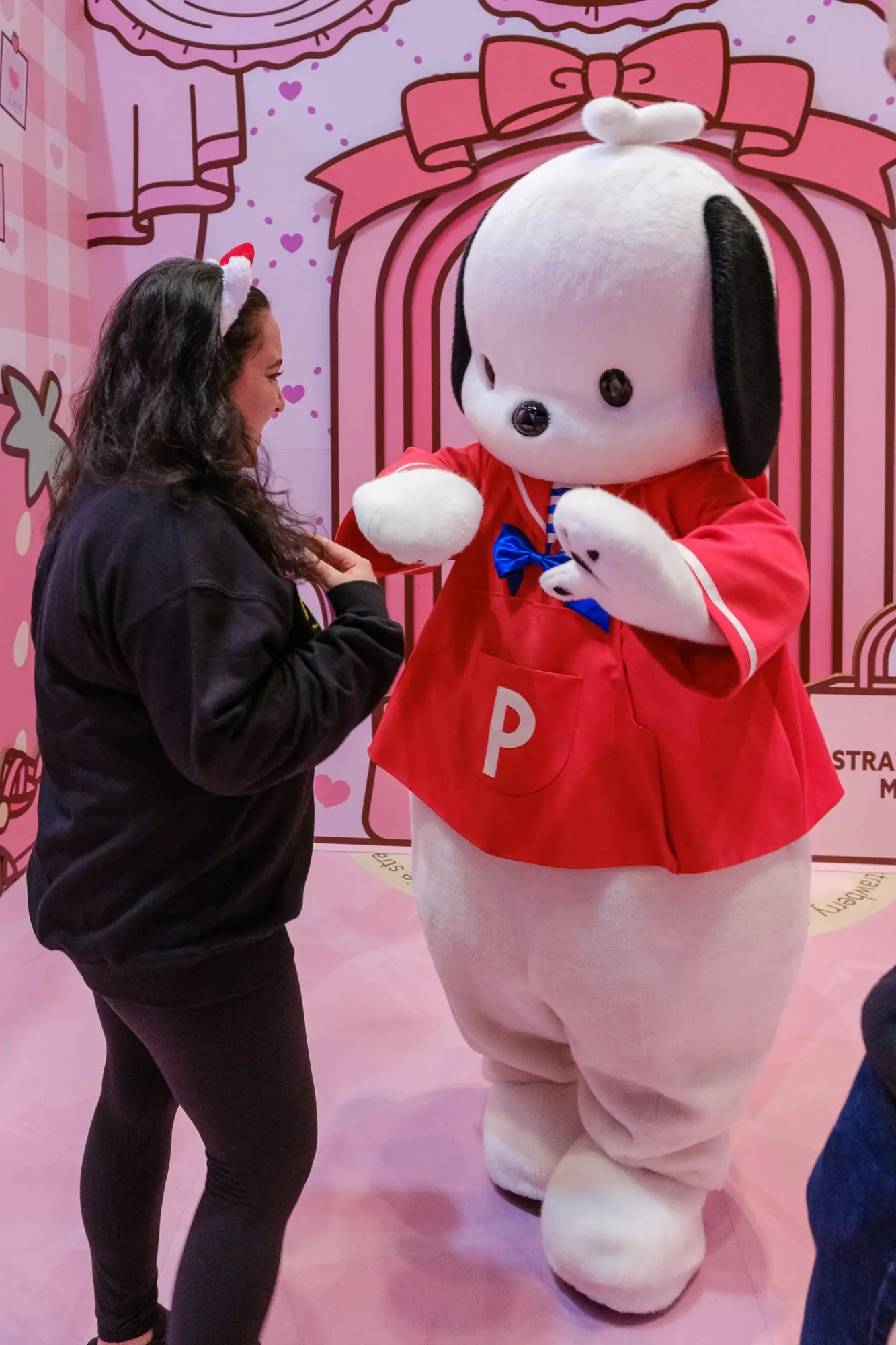 Photo from Meeting Pochaco and Celebrating Hello Kitty's 50th Anniversary, Tokyo, Japan