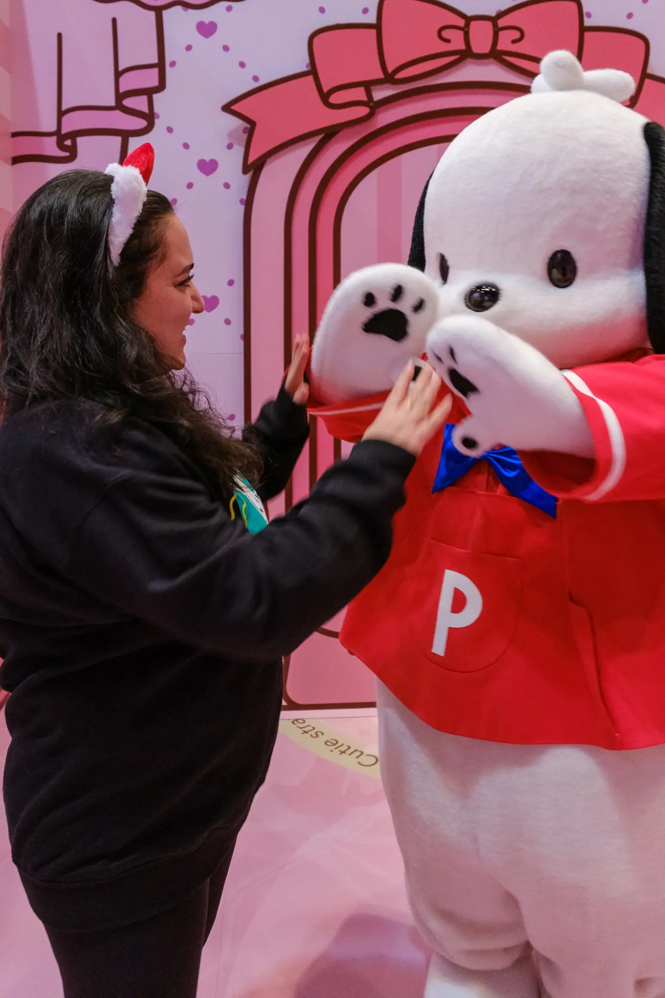Photo from Meeting Pochaco and Celebrating Hello Kitty's 50th Anniversary, Tokyo, Japan