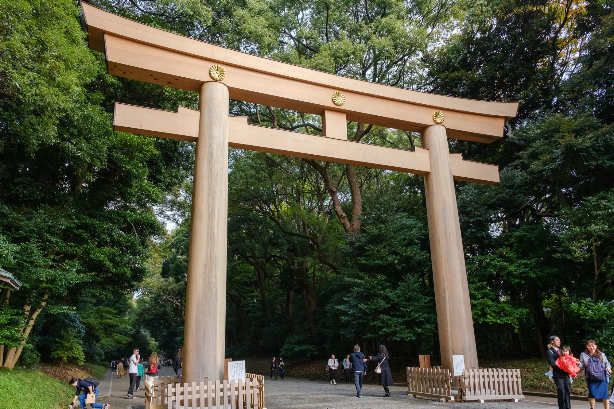 Photo from Morning at Meiji Jingu – A Serene Encounter with Tradition, Tokyo, Japan