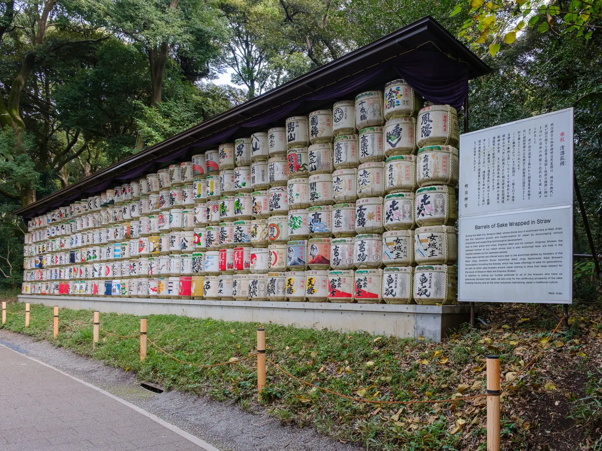 Photo from Morning at Meiji Jingu – A Serene Encounter with Tradition, Tokyo, Japan