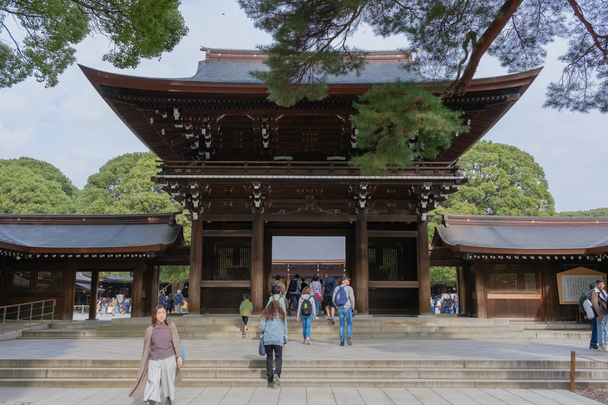Photo from Morning at Meiji Jingu – A Serene Encounter with Tradition, Tokyo, Japan