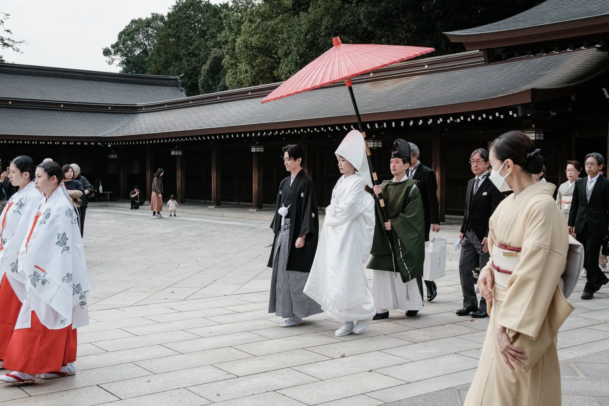 Photo from Morning at Meiji Jingu – A Serene Encounter with Tradition, Tokyo, Japan