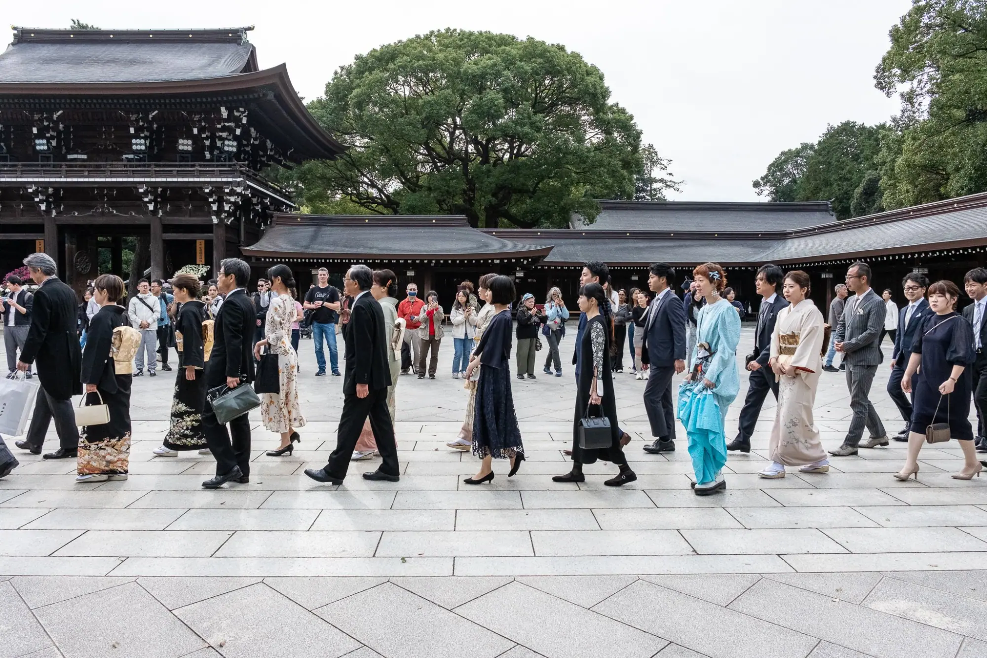 Photo from Morning at Meiji Jingu – A Serene Encounter with Tradition, Tokyo, Japan