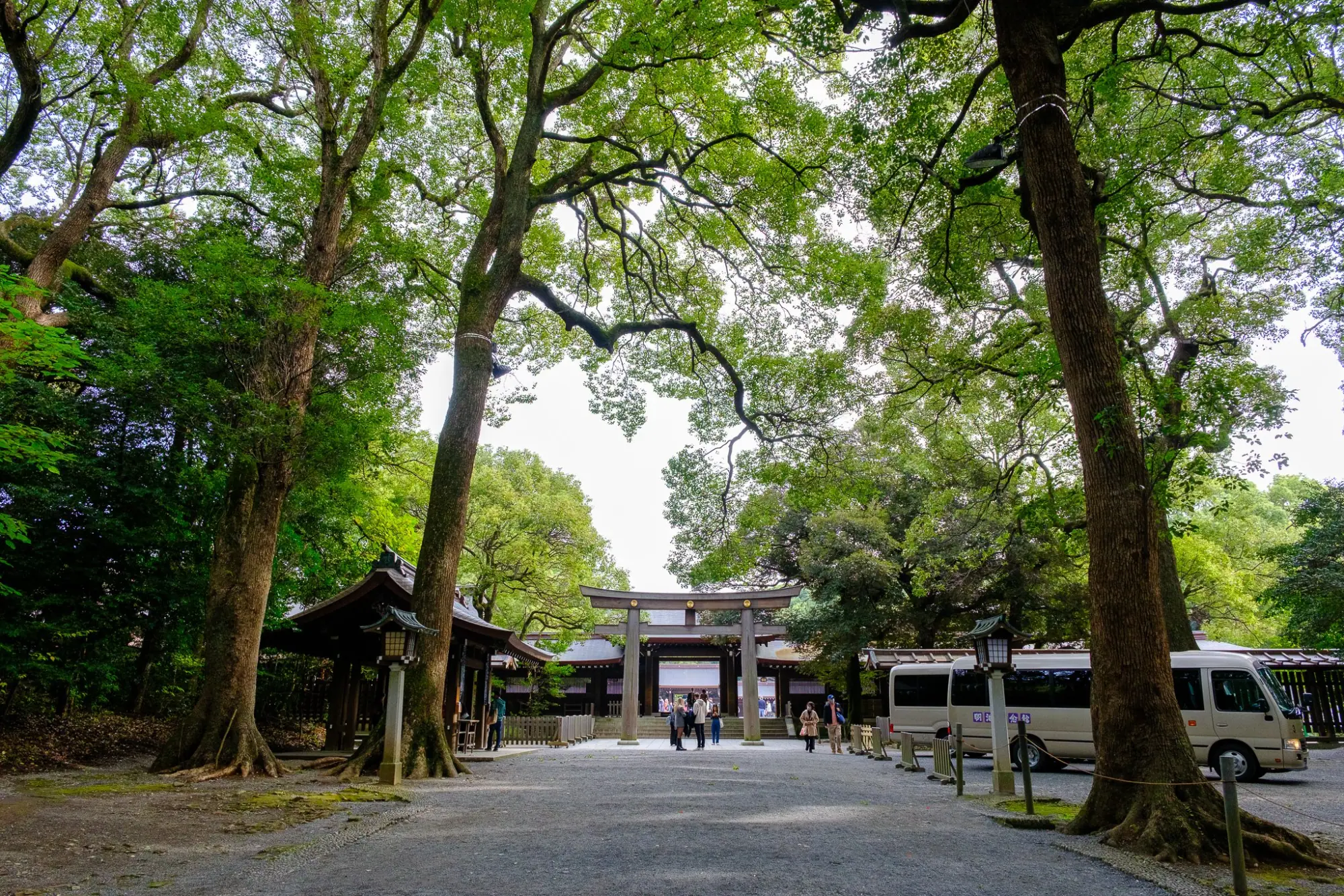 Photo from Morning at Meiji Jingu – A Serene Encounter with Tradition, Tokyo, Japan