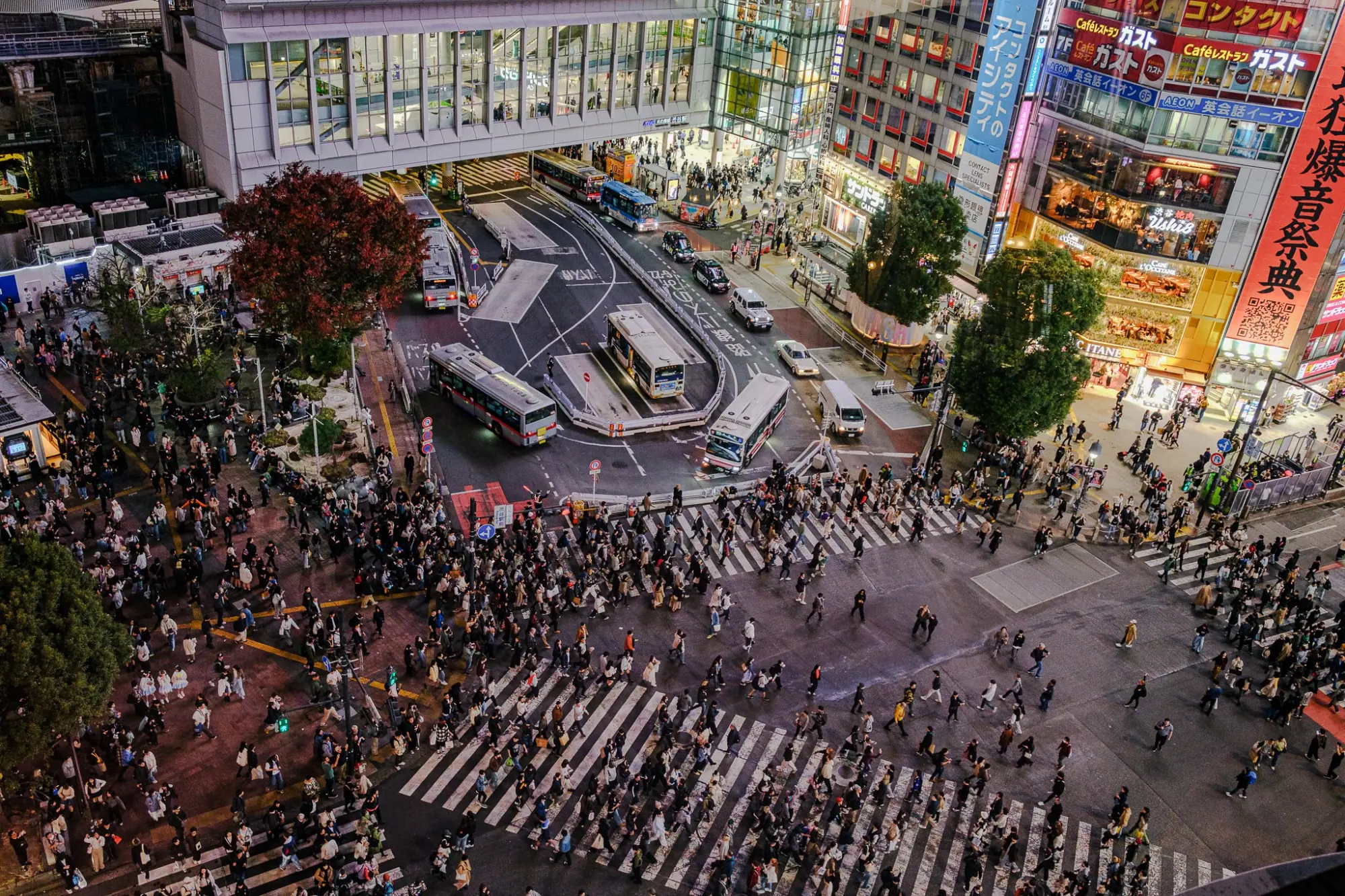 Photo from Shibuya Crossing – A Tokyo Icon