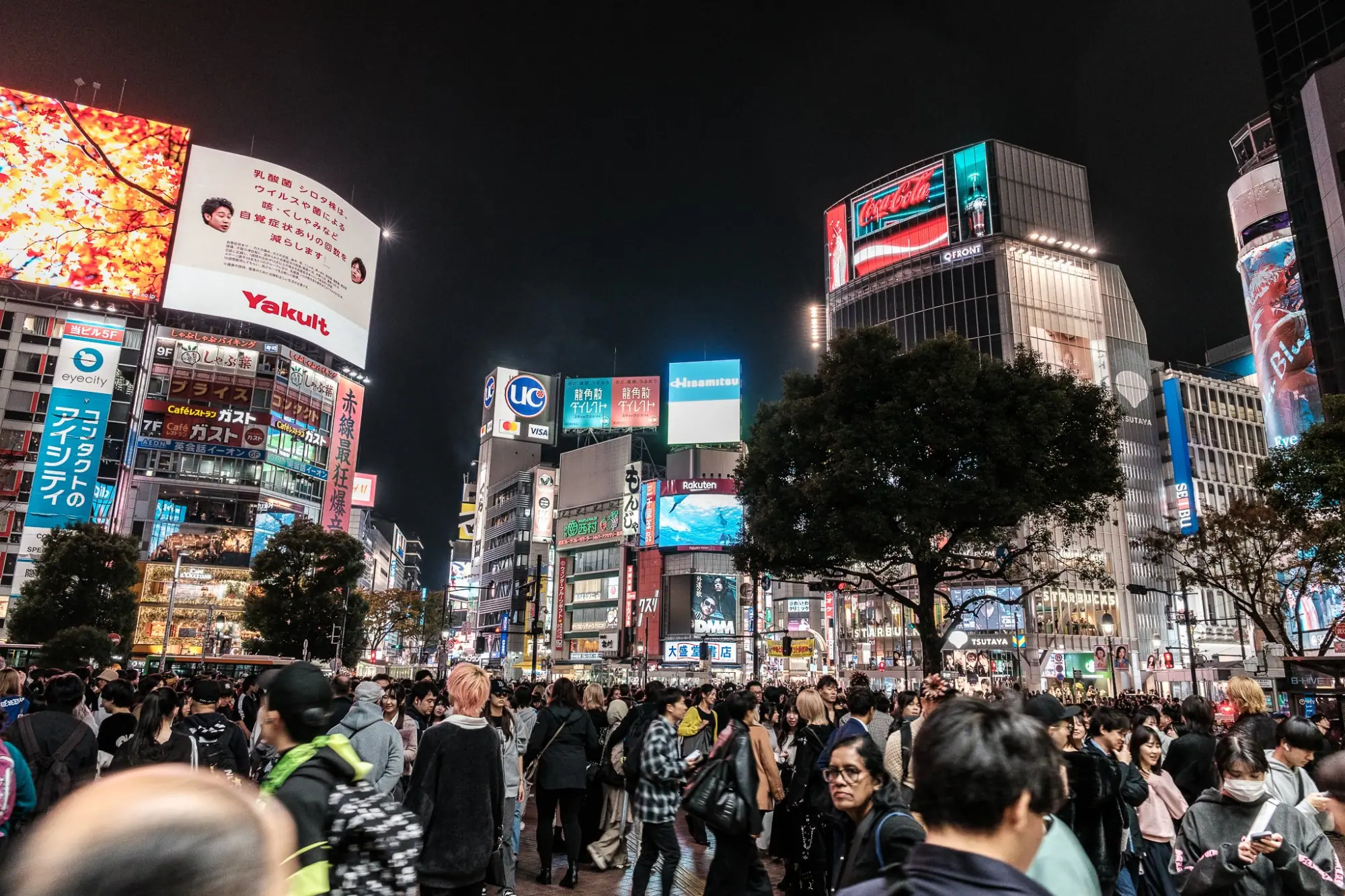 Photo from Shibuya Crossing – A Tokyo Icon