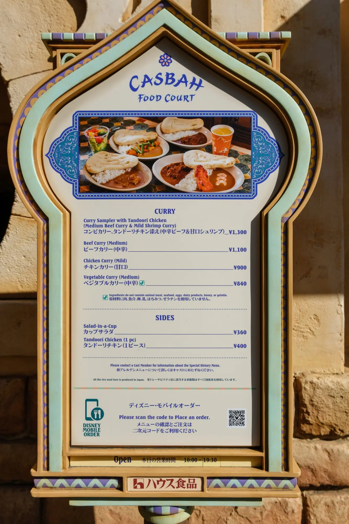 Photo from A Unique Disney Experience, Tokyo, Japan