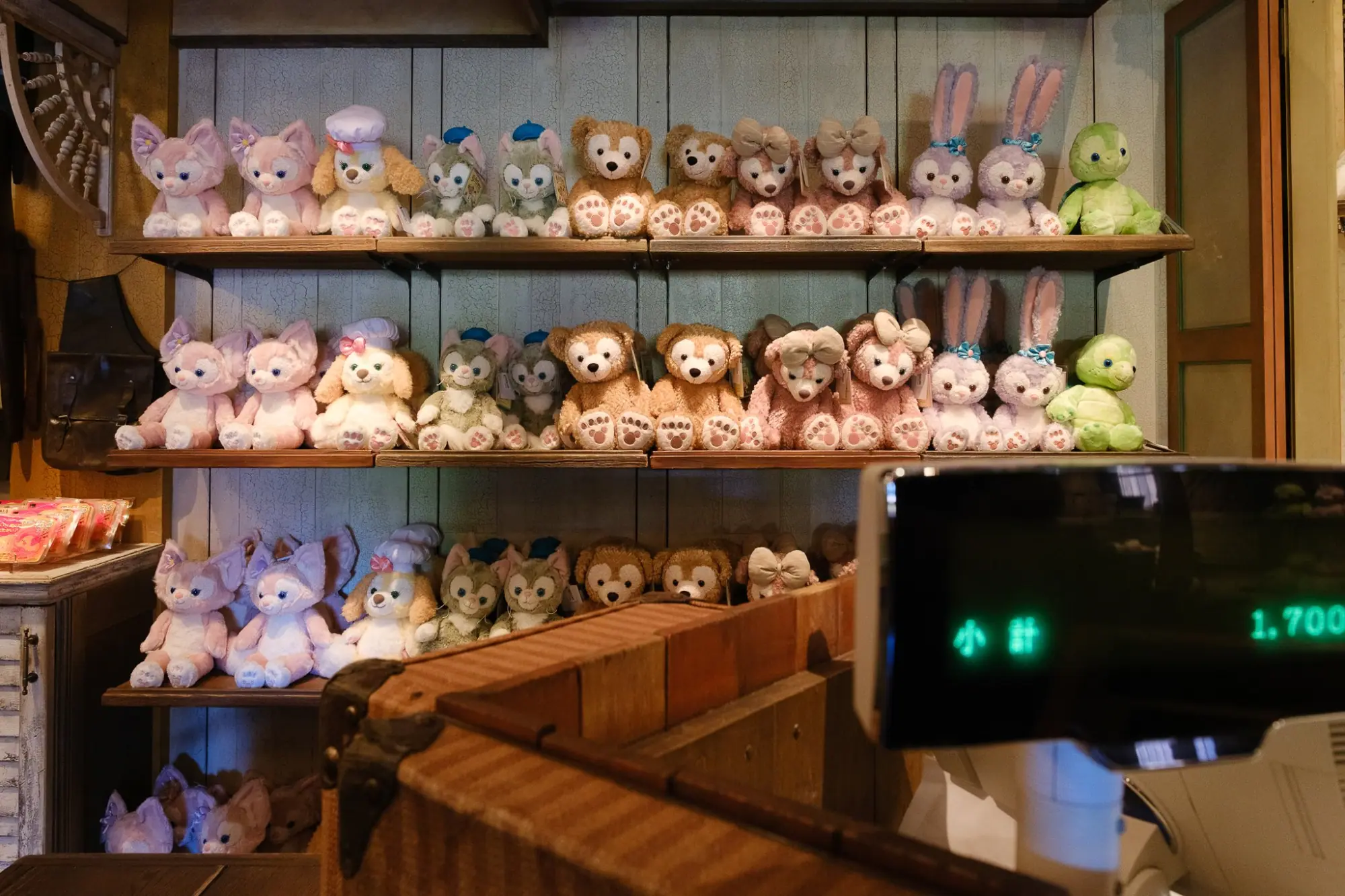 Photo from A Unique Disney Experience, Tokyo, Japan