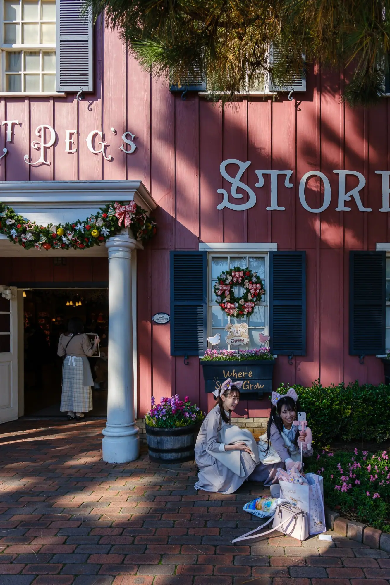 Photo from A Unique Disney Experience, Tokyo, Japan