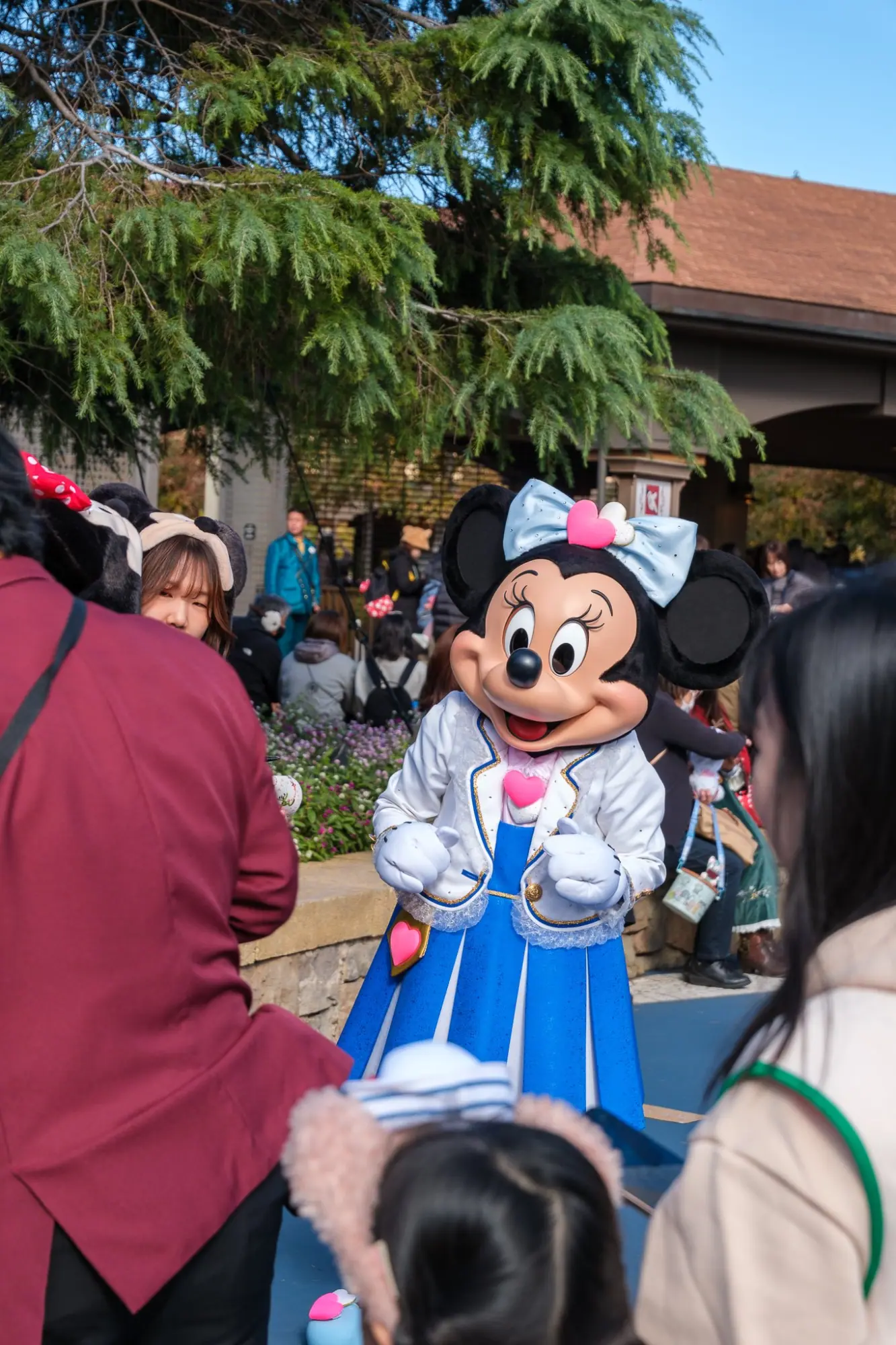 Photo from A Unique Disney Experience, Tokyo, Japan
