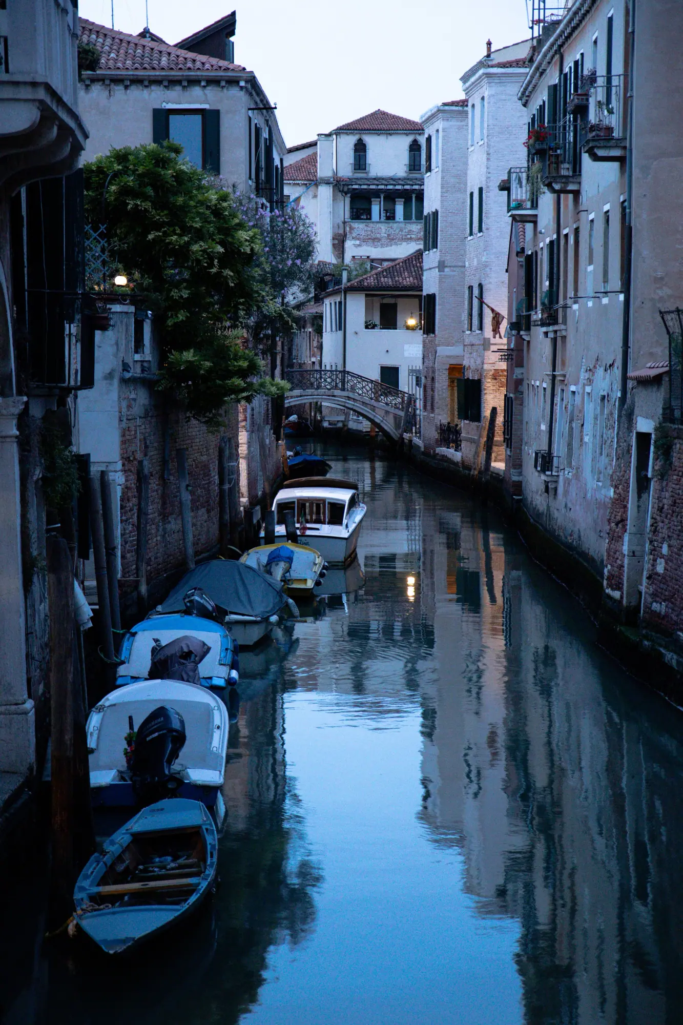 Photo from After a day of rich history, we wound down over aperitivo and dinner at Osteria Enoteca San Marco, tucked…, Venice, Italy